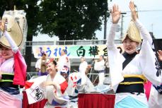 選抜連阿波おどり