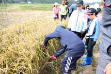 友だちが心配そうに見つめてる中、刈ってみます
