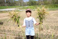 こっちもたくさんだね