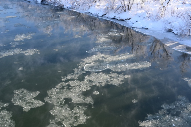 岸辺のアンカーアイス