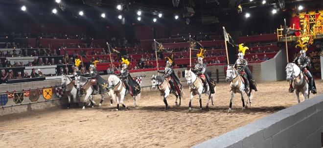 凛々しい馬たち