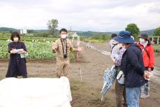 研究員が薬用植物を説明しているようす