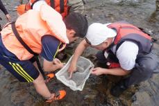 どんな生き物がいるのかな？