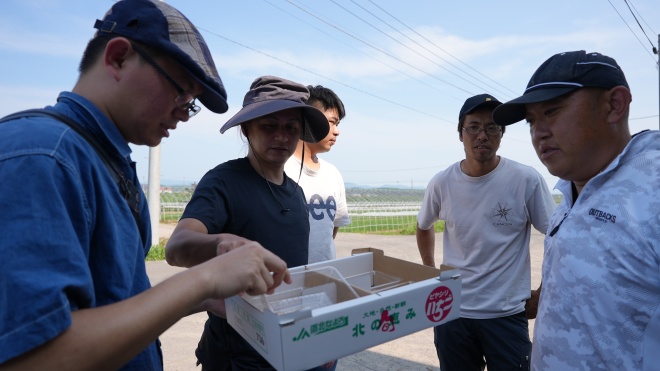 市内のイチゴ農家を訪問
