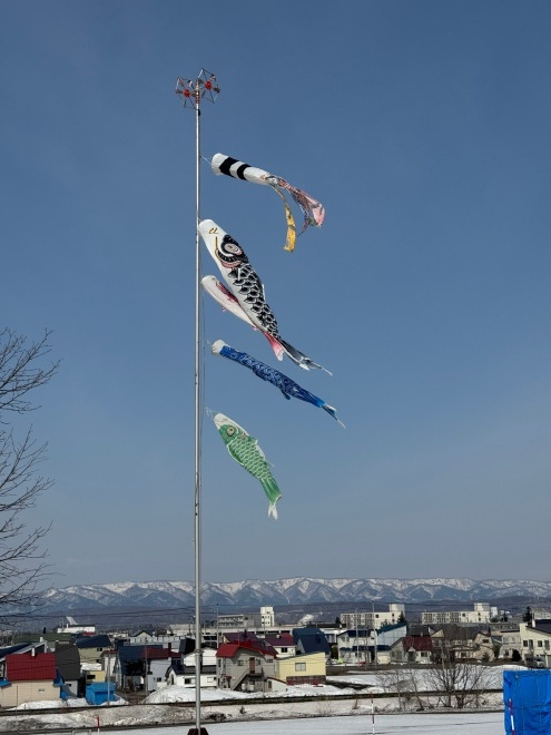 こいのぼり