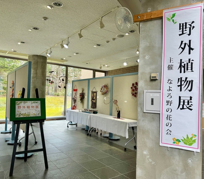 展示の様子