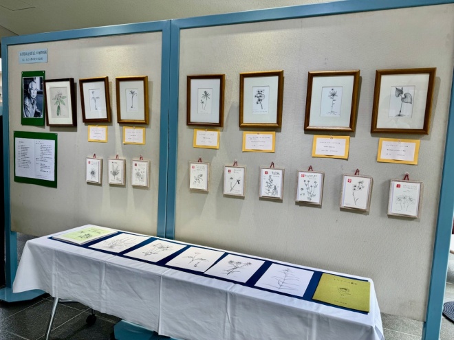 展示の様子