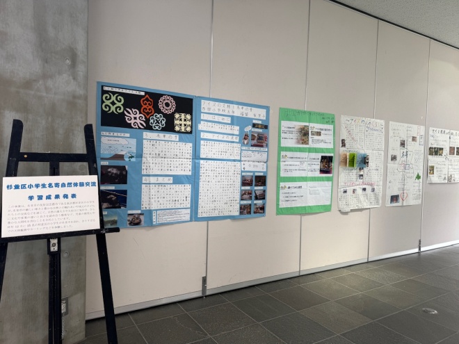 展示のようす