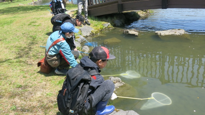 過去の観察会写真