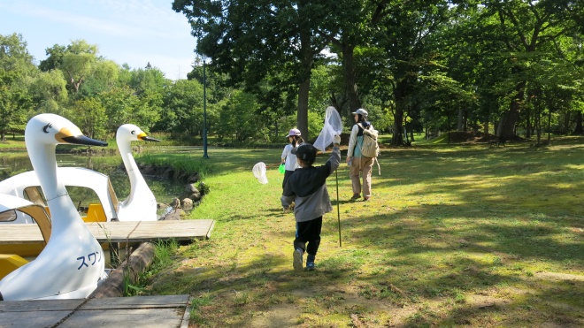 過去の観察会写真