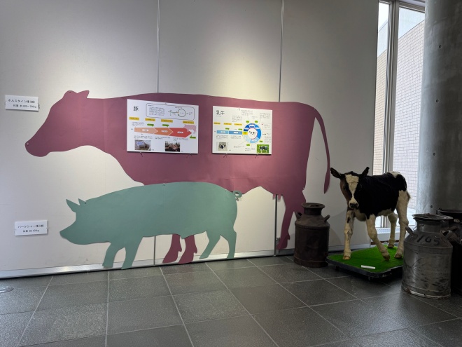 第53回特別展「名寄の畜産史」の写真