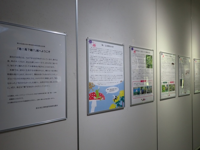 企画展写真