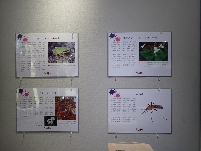 企画展写真