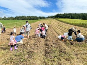 R2年度いもほり体験(主催:名寄市食育推進協議会)