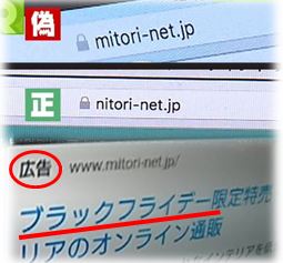 偽ニトリサイト