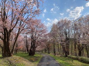 弥生公園